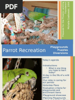 Download Parrot Recreation  Playgrounds Puzzles Diversions by Michelle Czaikowski SN4147611 doc pdf