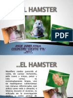 El Hamster