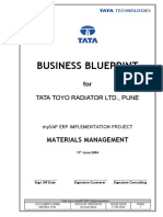 1 - MM Blue Print Document