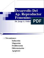 embio-ap-rep-femenino-jaoc-2017.pdf