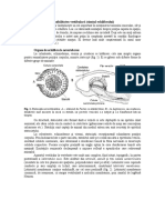 Analizatorul.pdf