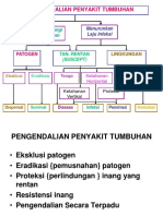 Pengendalian Penyakit (2019)