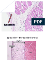 Lesiones en Piel