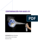 Contaminación Por Gases CFC