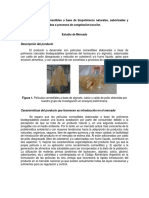 PICT-2013-2553 Estudio de Mercado PDF
