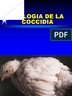 Biologia de La Coccidias