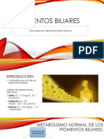 Pigmentos biliares.pdf