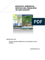 Diagnostico Ambiental San Vicente