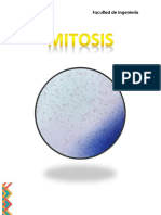 Mitosis INFORME LABORATORIO 