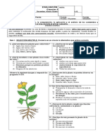 Evaluacion de Sintesis Ciencias Naturales 3 Basico 2