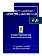 Importância Do Banco de Dados e PDF