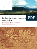 La región como categoría geográfica