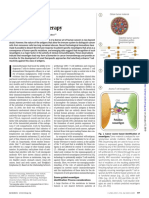 Science 18 Neoantigens in Cancer Immunotherapy