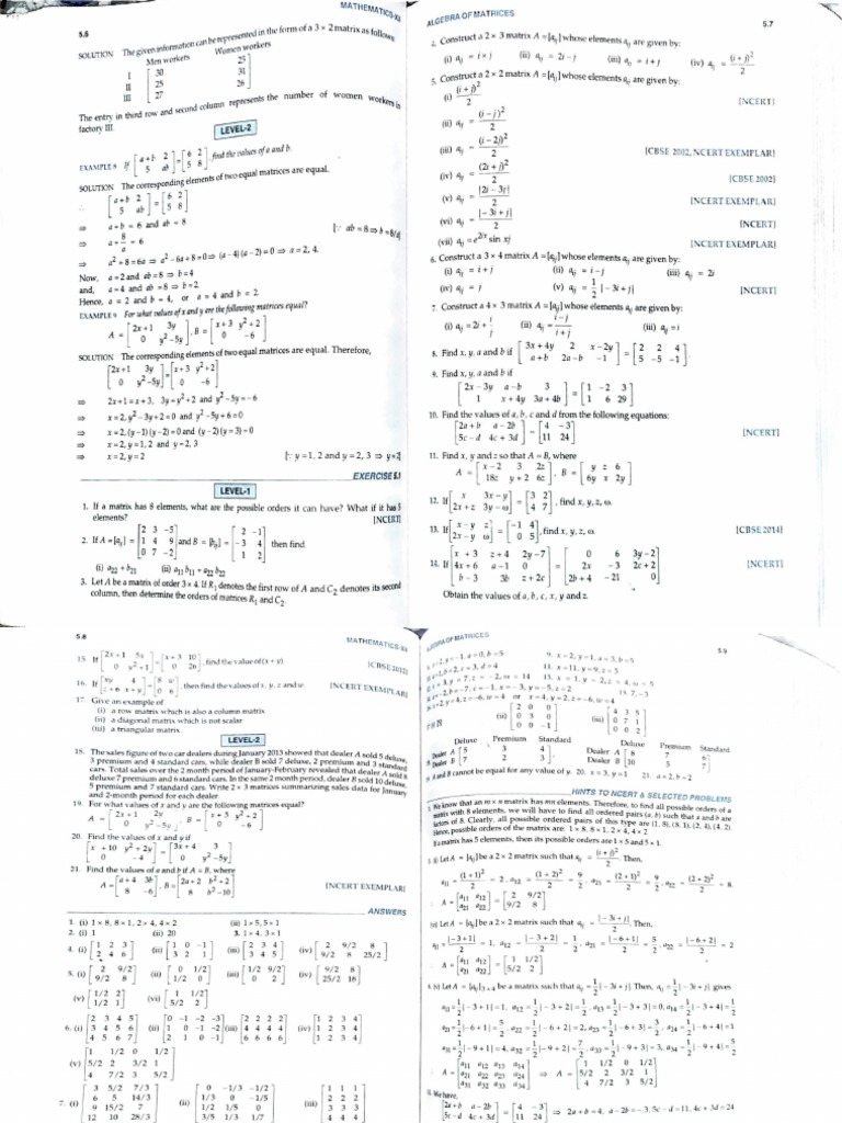 Matrix Algebra and Problem Solutions | PDF | Matrix (Mathematics ...