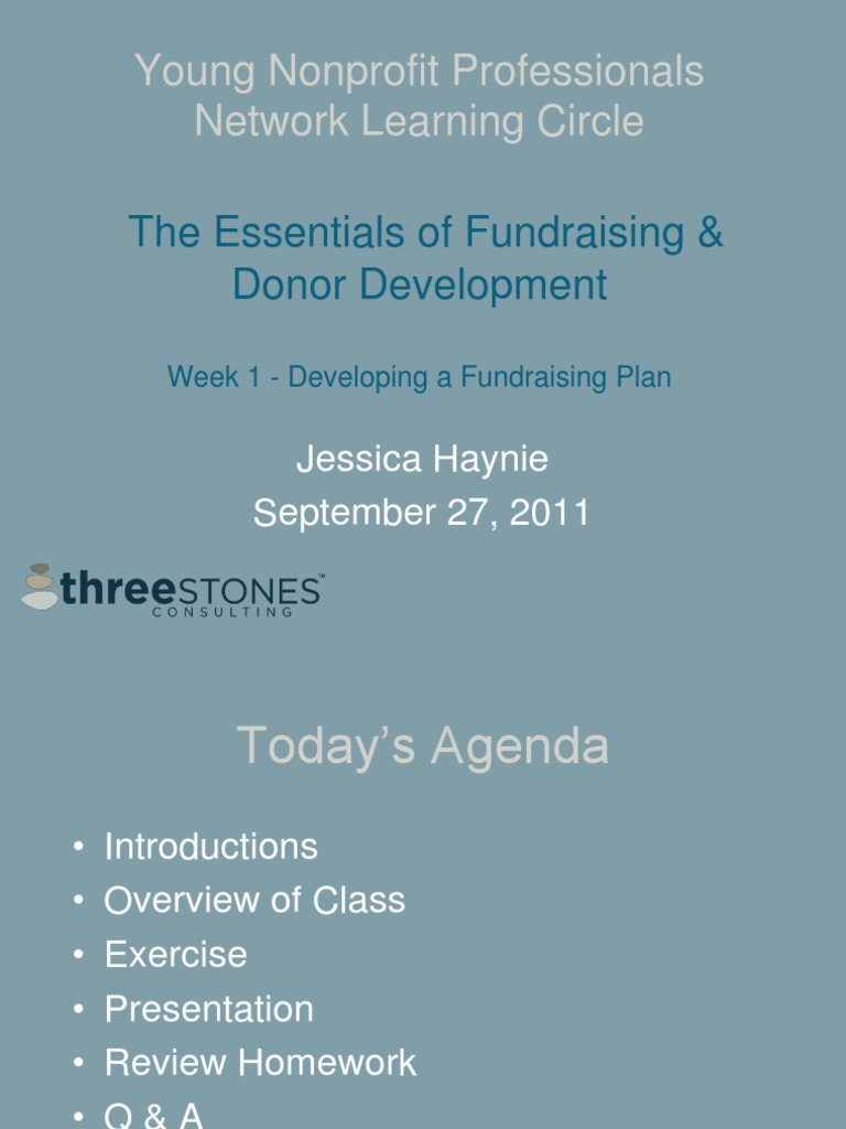 Fundraising Plan Essentials Guide | PDF | Fundraising | Economies