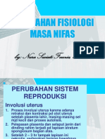 Perubahan Fisiologis Masa Nifas