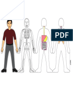 HUMAN BODY SYSTEMS-COLOURdoit.pdf