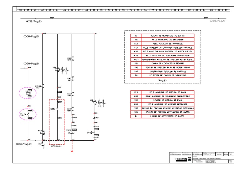 Resemin Opcional scribd