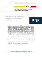 Metodologías Y Efectos de Las Caídas de Peso en Lucha Olímpica: Una Revisión