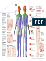 2015-infco-lupus-copyright.pdf