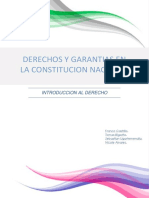 Derechos Y Garantias en La Constitucion Nacional: Introduccion Al Derecho