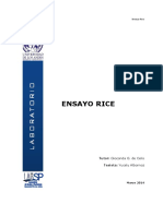 Ensayo Rice 38