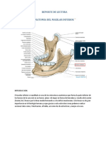 Reporte de Lectura Mandibula