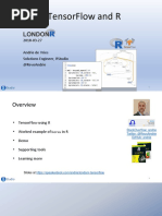 TensorFlow With R