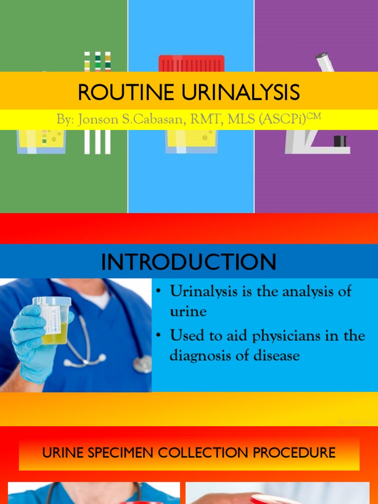 Routine Urinalysis PDF