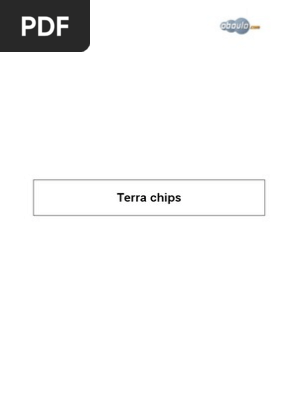 Terra Chips Case Study