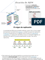 Replicación de ADN