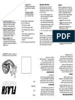 Flash Fantasy PDF