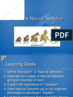 Darwin Natural Selection 1xwxo3e