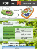 Prokaryotic and Eukaryotic Cells