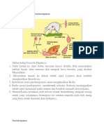 Daur Hidup Fasciola Hepatica