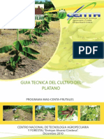 GUIA CULTIVO PLATANO 2011 (1).pdf