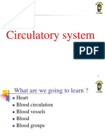 Blood Circulation English Version