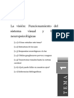 tema1. FUNCIONAMIENTO DEL SISTEMA VISUAL.pdf