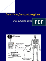 41782307-Calcificacoes-e-Pigmentacoes-patologicas.ppt