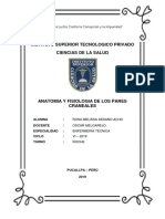 Anatomia y Fisiologia de Los Pares Craneales