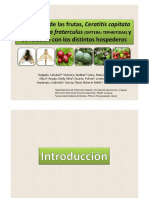 Las moscas de las frutas_SDelgado.pdf