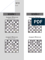 Entrenamientos Errores Amateur PDF