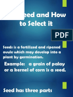 Characteristics of Seed