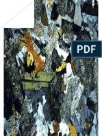 Diorite Thin Section