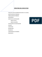 06 Estructura Del Plan de Tesis PDF