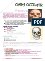 Fisiologia Ocular