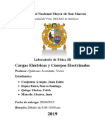 Cargas Electricas