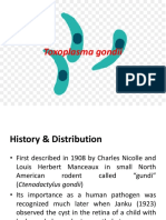 Toxoplasma Gondii-2