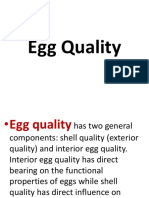 Everything You Need to Know About Egg Quality