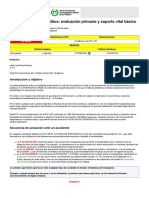 RCP BASICO.pdf